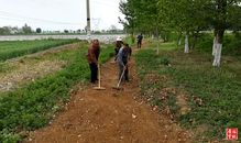 岐山今春栽植苗木256萬株，助力生態(tài)建設(shè)與產(chǎn)業(yè)發(fā)展