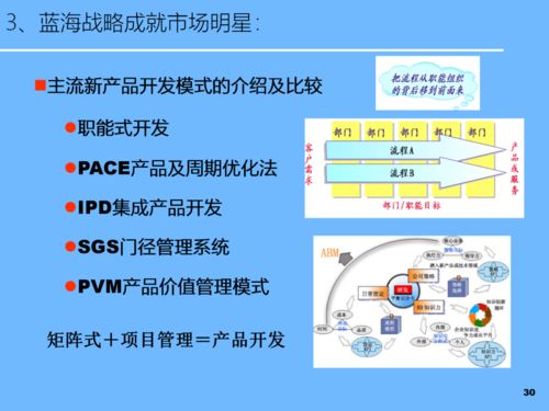 PPT新品開(kāi)發(fā)及產(chǎn)品戰(zhàn)略規(guī)劃 軟件開(kāi)發(fā)視角